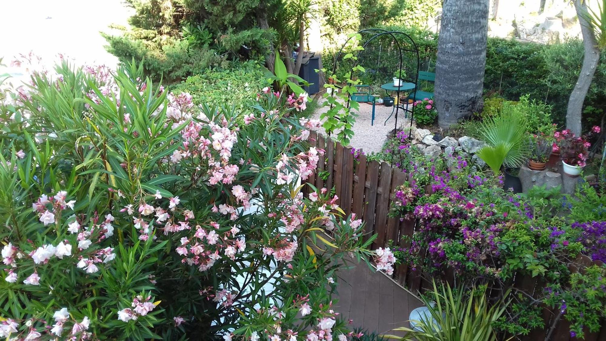 Lovely With Terrace Appartement Cannes